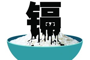 <em>美容师</em>未领到<em>工资</em> 向美容院索赔近10<em>万元</em>_中山