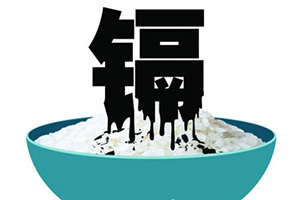 广东：东莞江门肇庆检出6批镉大米