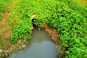 虚构“市政污水管”过环评 广西柳一工厂污水直排水源地