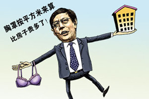党报批“胸罩暴利论”：地产商哭穷属卖萌装天真