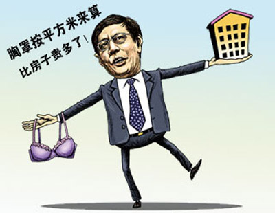 党报批<em>胸罩</em>暴利论:地产商哭穷属卖萌装天真_