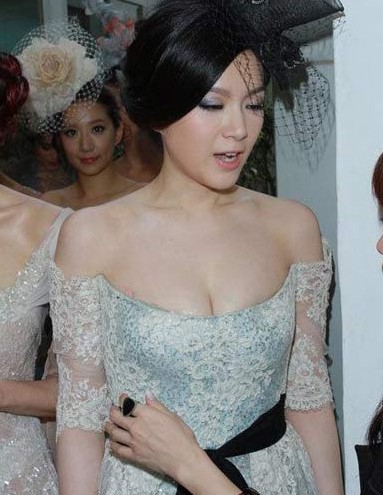 港媒曝女星“陪酒”价码：苟芸慧150万