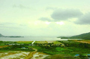 王宝强晒贴面照陪娇妻过生日