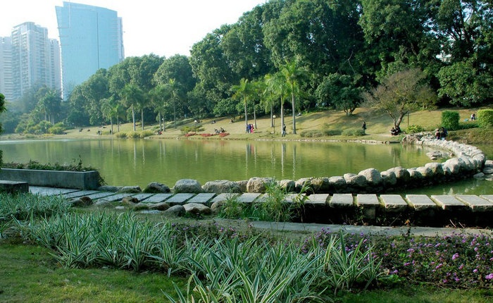 深圳大学