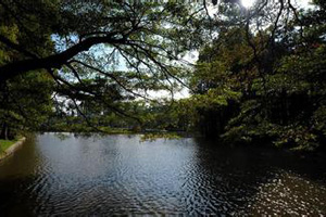 话说广州流花湖水道