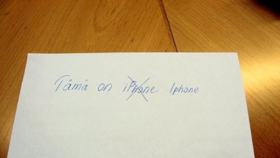 15211255460494852695.jpg
