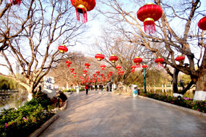 春节国内游价格上涨一成