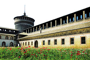2014马上旅行 到欧洲去赏花