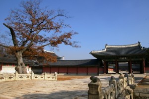 赴韩游火爆 旅行社组团推实地追剧