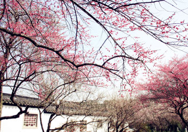 江南探花 诗情画意