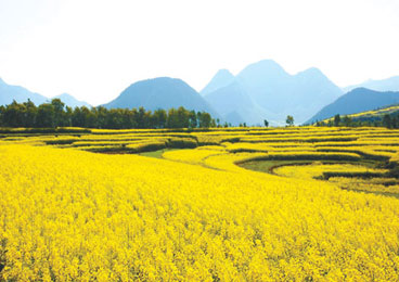 在女人的节日里,让自己成为最好的风景
