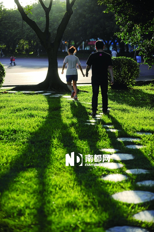 国家森林城市人均公园_人均森林碳汇(3)