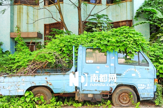 "僵尸车"长草了 呼叫"豌豆射手"