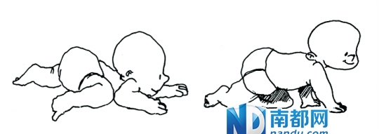 宝宝半岁左右 发育重点:爬行和口腔发育 指导专家:符欣(亲亲袋鼠