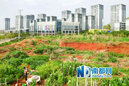 呈贡区_呈贡区人口