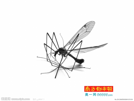 被蚊虫叮咬 这些消肿止痒妙方有用吗?_健康快