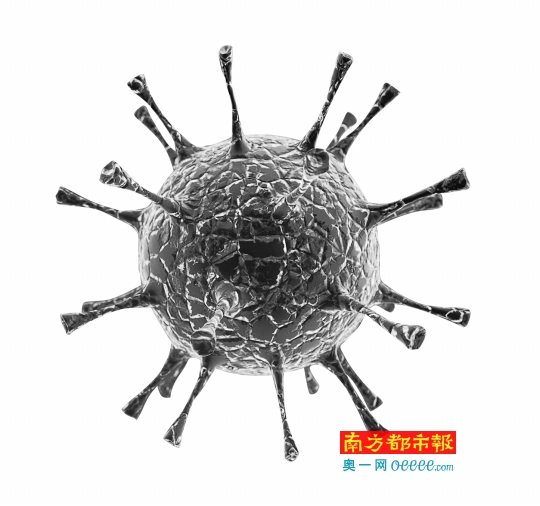 气道记忆性CD4+T细胞 呼吸道冠状病毒清除者