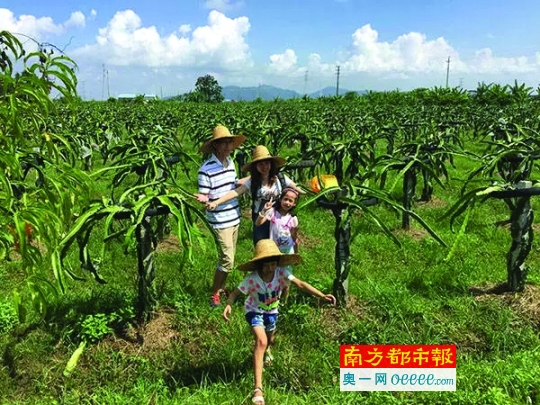 五一斗门喊你来乡村游