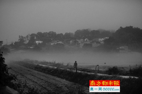 电影里的镜头,唯美诗意。