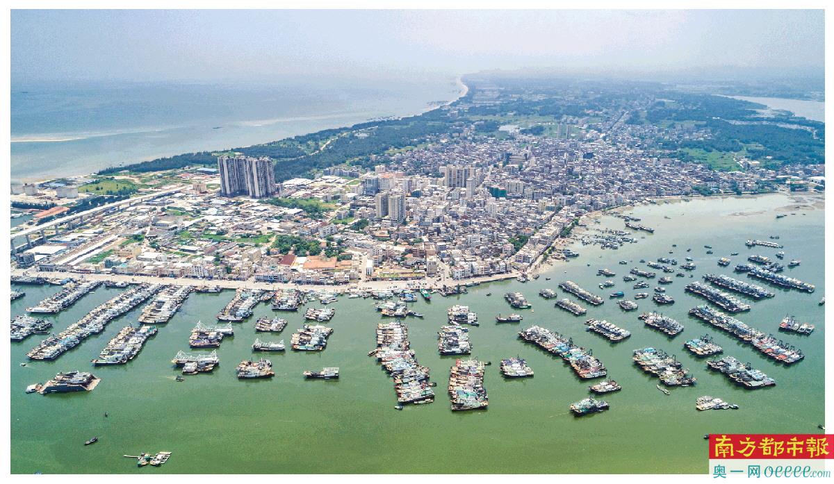 位于茂名市电白区南部临海的博贺港是广东省三大渔港之一。