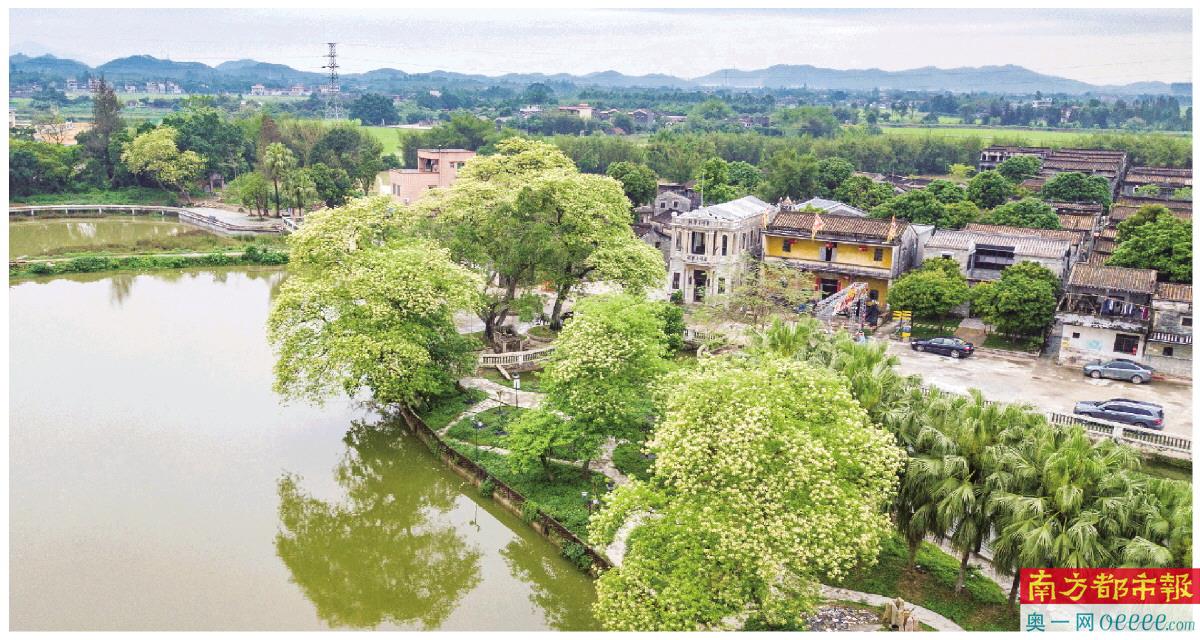 “网红”打卡点草坪里。