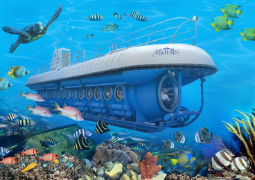 去夏威夷海底探秘 乘潜艇寻找未知世界